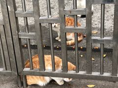 -晓港公园