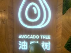 -油梨树AVOCADO TREE(嘉里中心店)