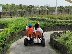 -季高兔窝窝亲子园(上海薰衣草公园店)