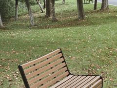-宜兴龙背山森林公园