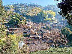 -杨家堂村