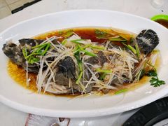 石斑鱼-前王院•巧克力海鲜市集餐厅(万平口店)