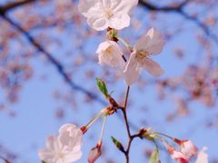 -龙美术馆(西岸馆)