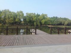 -尚贤河湿地