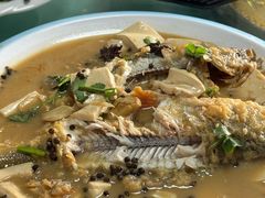 -煲来饱去冷水鱼