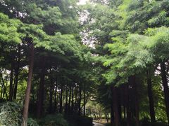 -长广溪湿地公园