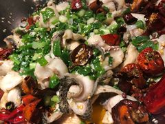 -百岁鱼(七一路店)