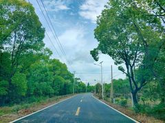 -乌镇景区