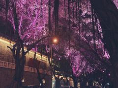 -酸喜·三度酸·贵州味