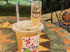 -凤城·食都