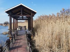 -苏州太湖湖滨国家湿地公园