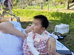 -风云岭森林公园