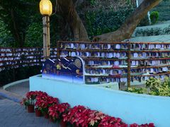 -龙环葡韵住宅式博物馆