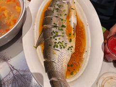 -松沪名灶·新上海菜(飞航吾悦广场店)