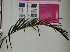 -宁耳听力助听器奥迪康·峰力·西门子(宝山店)
