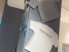 -WHEN PIGS FLY当猪飞