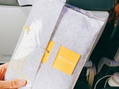 -谢列梅捷沃国际机场