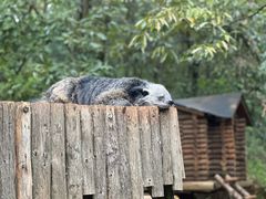 -云南野生动物园