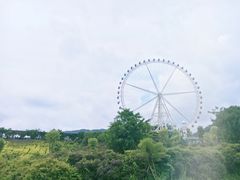 -望天湖
