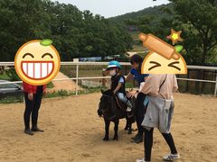 -金石滩蓝莓谷庄园
