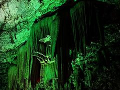 -北京上方山国家森林公园