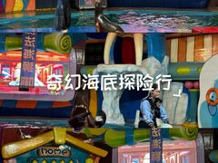 -海合安武汉极地海洋公园