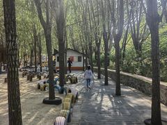 -西部长青自然儿童乐园