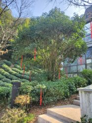 -尚圣月子会所·庄园式月子中心(萧山湘湖店)