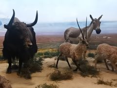 -浙江自然博物院(杭州馆)