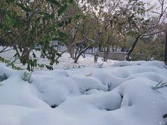 -元大都城垣遗址公园