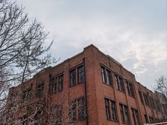 -桃花堤公园