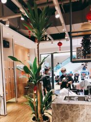 -Mentor Hair Salon
