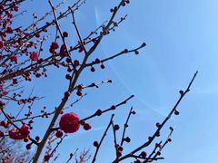 -蜀冈西峰生态公园