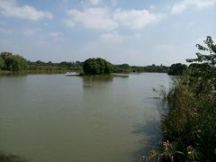-梁鸿国家湿地公园