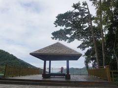 -海南霸王岭国家森林公园