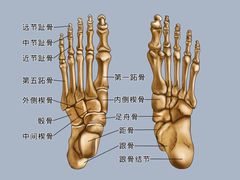 -广州中医药大学第一附属医院(总院)