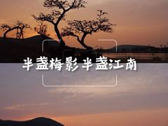 -香雪海