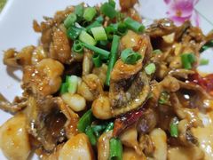 -凤嫂农家乐(梁弄店)
