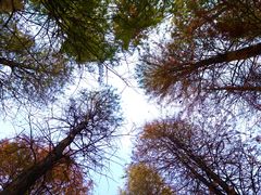 -艾溪湖湿地公园