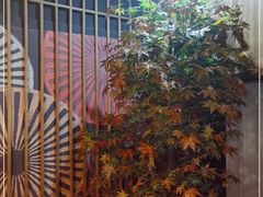 -河风の幸会精致料理
