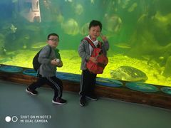 -上海长江河口科技馆