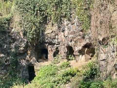 -杭州动物园