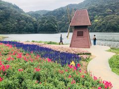 -广州市石门国家森林公园