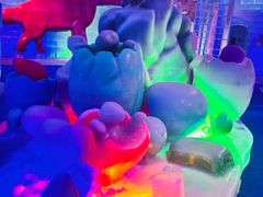 -客天下梦幻冰雪乐园