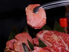 -肉魁屋·烧肉·烧鸟·酒场(高新店)