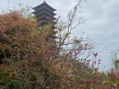 -牛首山文化旅游区