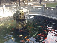 -赵记煎饼卷大葱(东岳店)