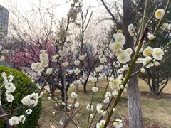 -元大都城垣遗址公园