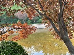 -元大都城垣遗址公园