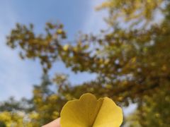 -辽宁大学(崇山校区)
